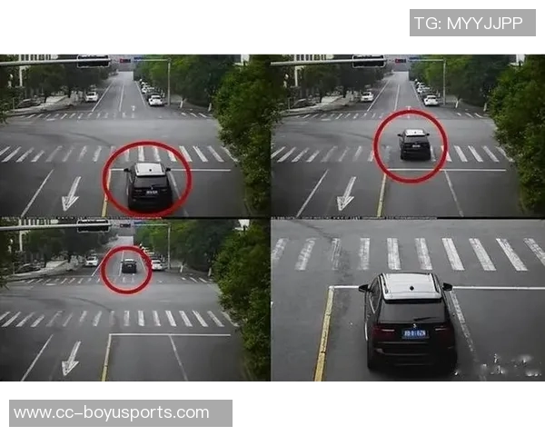 三球闯红灯引发热议网友调侃马路是我家交规算什么